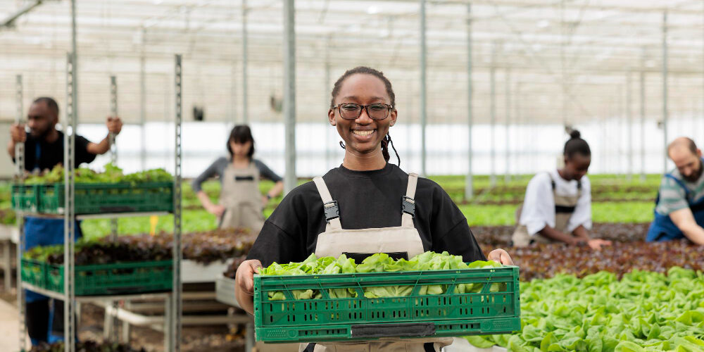 How to Start an Agro-Ecommerce Site in Nigeria with Little Money