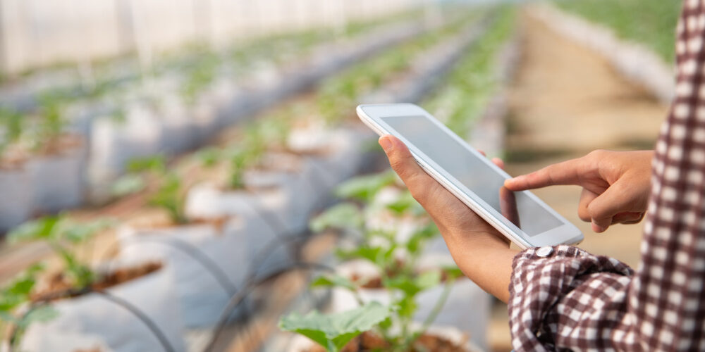 The Mobile Phone Revolution: Driving Nigeria’s Agro-Commerce Boom